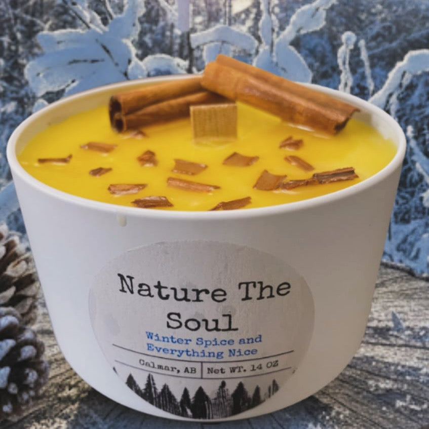 Winter Spice and Everything Nice 14oz